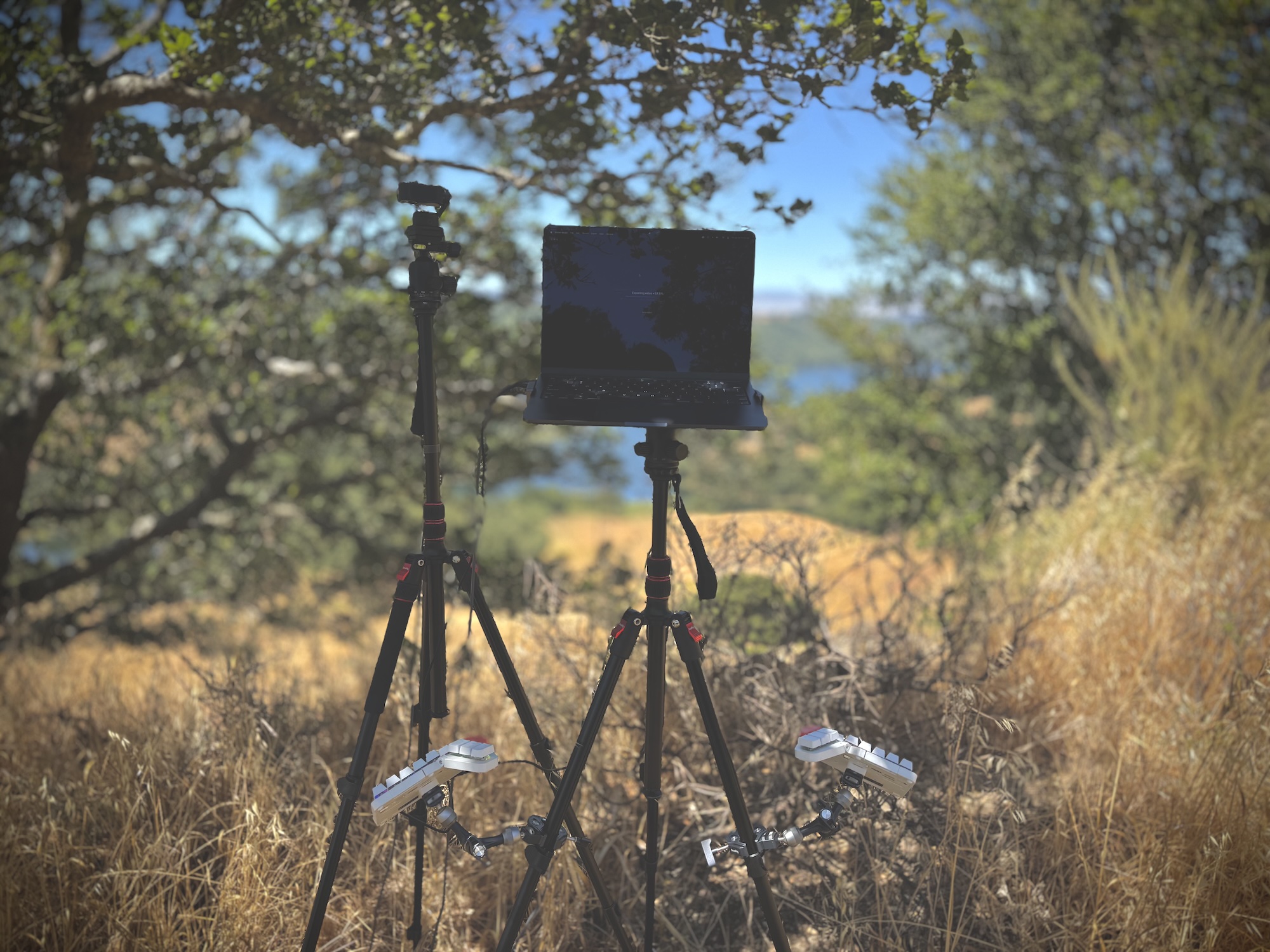 Video rig